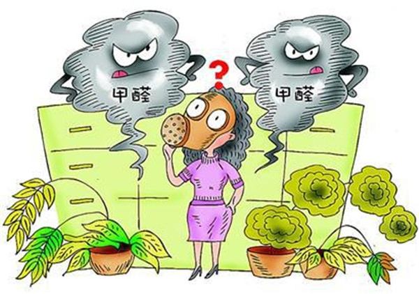 不知道除甲醛多少錢一平米？你就等著被坑吧！