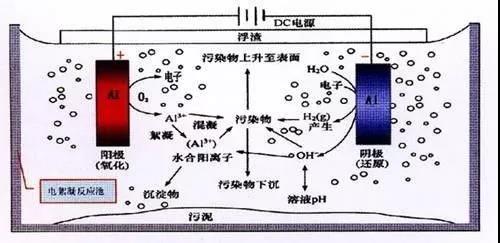 我買了一個甲醛檢測儀，吹口氣后發(fā)現(xiàn)原來我才是“地表最強(qiáng)”污染源！