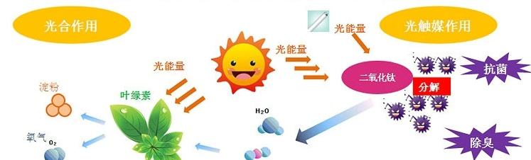 甲醛治理用什么辦法最正確？這三點常見的除甲醛辦法其實是誤區(qū)