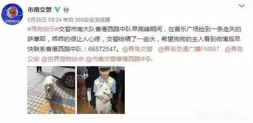 有問題找警察，薩摩耶派出所報案，不注意這件事，對狗狗致命，警察蜀黍卻幫不上忙！