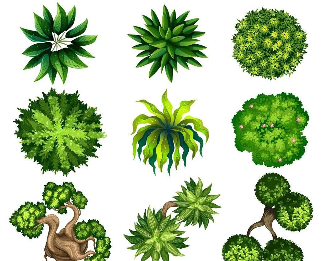 可以凈化室內(nèi)空氣的植物，這二十種您需要好好了解一下！