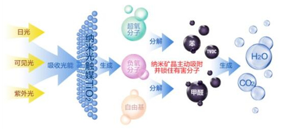 洋蔥可以除甲醛？民間流傳土方法可信嗎？