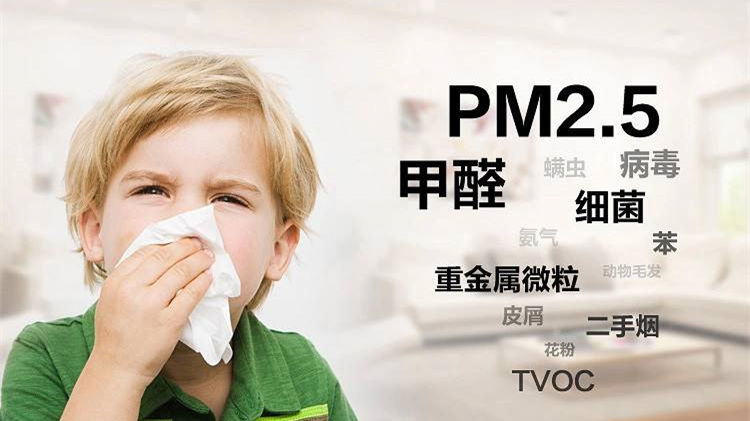 誰說二手車沒有甲醛？汽車除甲醛最有效方法告訴您