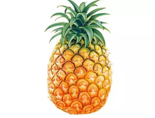 通風(fēng)半年甲醛仍超標(biāo)？甲醛治理要注意