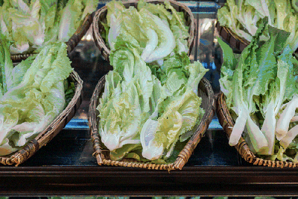夏至高溫預警！消暑養(yǎng)生秘笈了解一下？