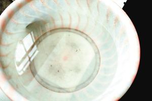 疫苗事件背后：您是否想過除甲醛產(chǎn)品也存在無效情況？