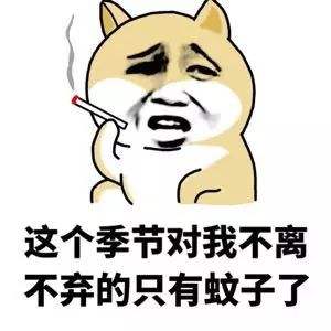 成分中有甲醛蚊香立馬變毒香，甚至還會致癌……