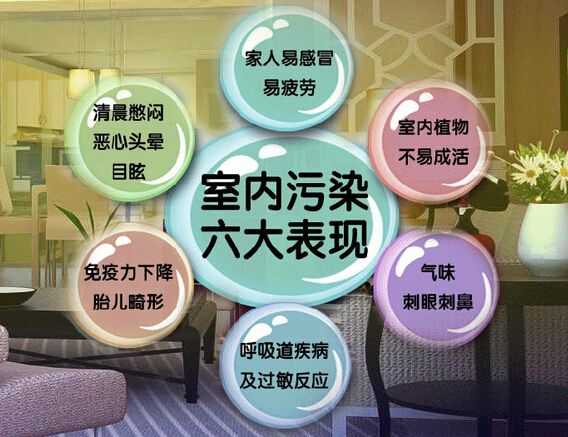 去甲醛加盟怎么樣？三點(diǎn)選址技巧讓您生意火爆