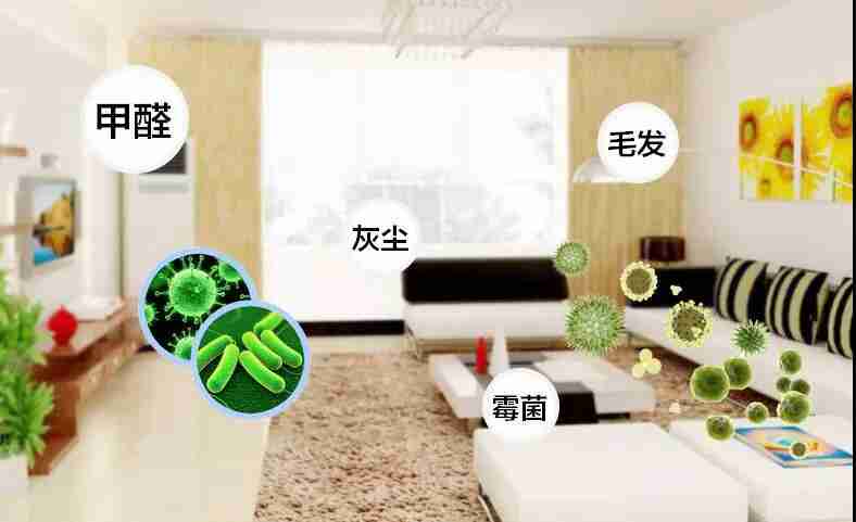 網(wǎng)上的除甲醛好辦法真的有效嗎？原理是什么