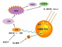 杭州除甲醛的優(yōu)效方法有哪些？