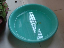 裝修完僅靠兩盆冷水就能除甲醛？這個說法連網(wǎng)友都出來辟謠！大家別再相信了！