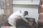 哪種方法除甲醛才是真正有效的呢？
