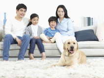 家里甲醛超標(biāo)怎么辦，受污染影響的人群有哪些
