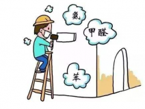 去甲醛具體有哪些方法呢？