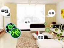 網上的除甲醛好辦法真的有效嗎？原理是什么
