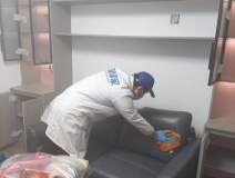 哪種方法除甲醛才是真正有效的呢？