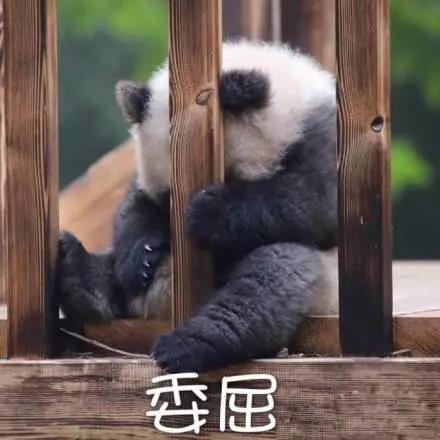別大意！七大除甲醛“誤區(qū)”，信了你反而會(huì)生??！通風(fēng)、綠植、活性炭、熏蒸……你中招了嗎？