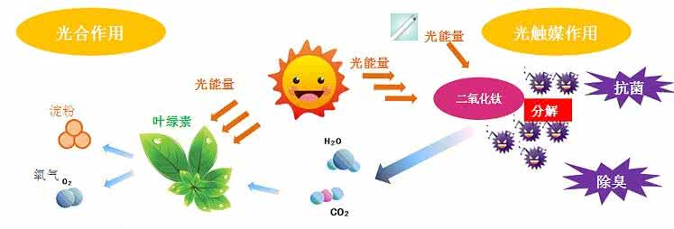 家中甲醛超標(biāo)，什么才是甲醛治理的正確姿勢(shì)？